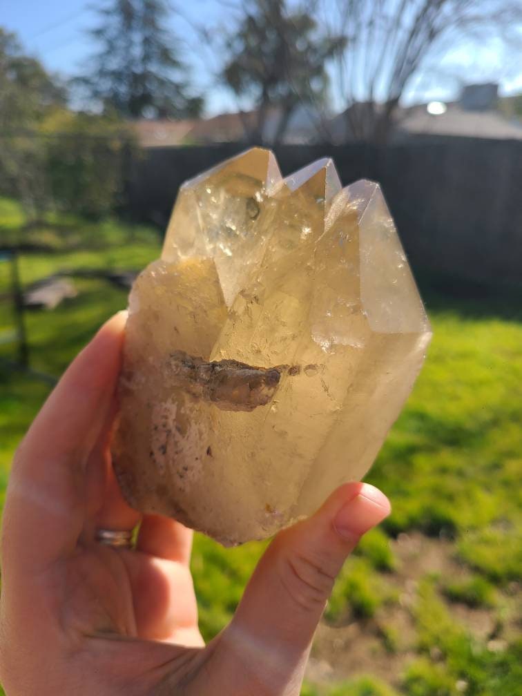 Large Glowing Raw Citrine | Natural Triplet/Cluster <100