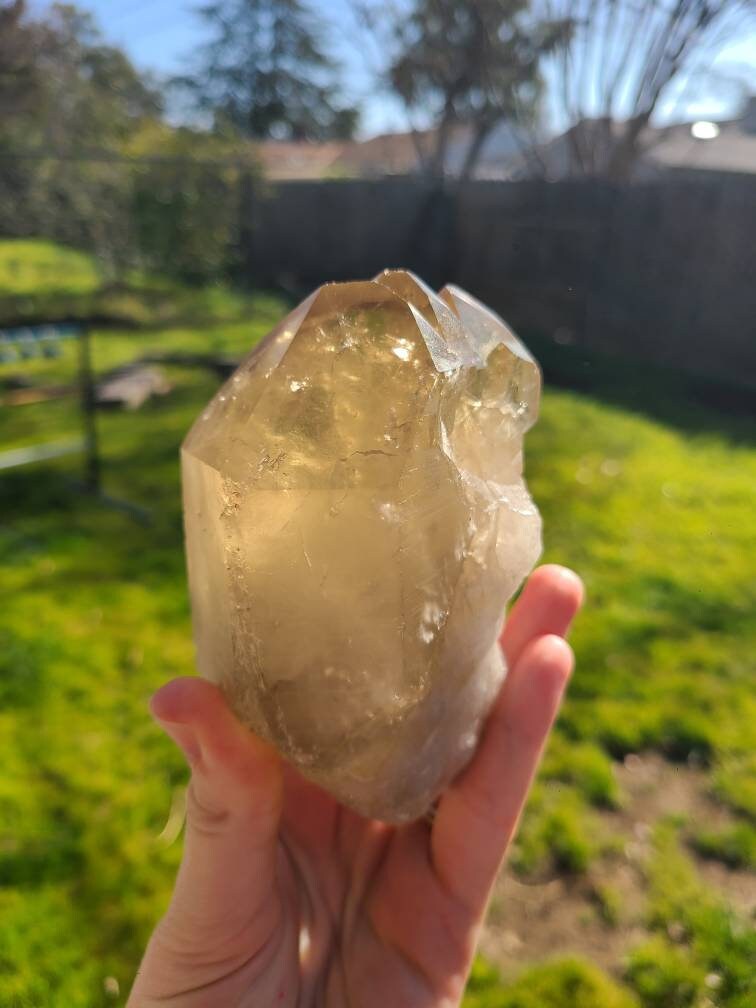 Large Glowing Raw Citrine | Natural Triplet/Cluster <100