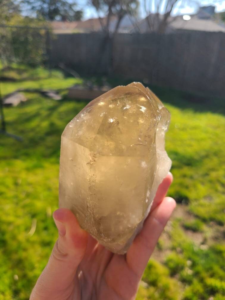 Large Glowing Raw Citrine | Natural Triplet/Cluster <100