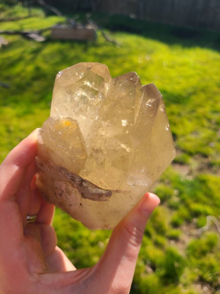 Large Glowing Raw Citrine | Natural Triplet/Cluster <100