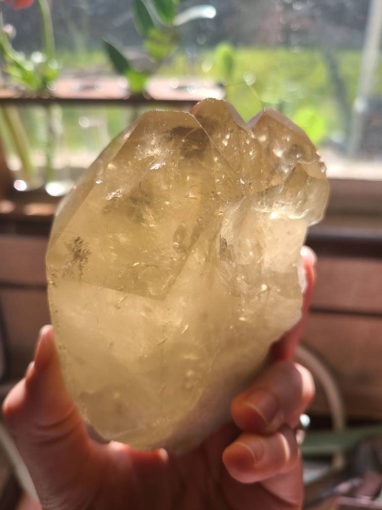 Large Glowing Raw Citrine | Natural Triplet/Cluster <100