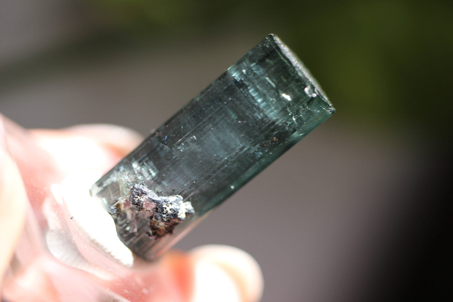 7.2g Beautiful Blue Indicolite Tourmaline Crystal | From Pedeniera Brazil | Terminated Collector Specimen with Black Tourmaline & Lepidolite