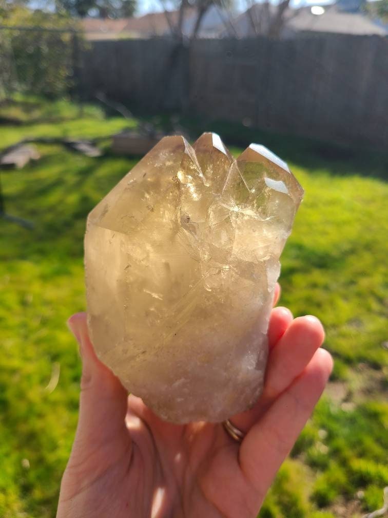 Large Glowing Raw Citrine | Natural Triplet/Cluster <100