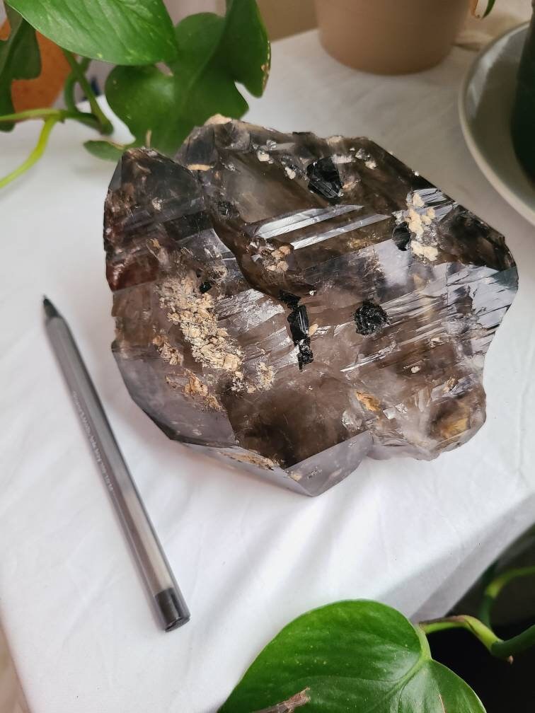 Incredible Elestial Smokey Quartz XL Super 7 Crystal w Black Tourmaline | Halloween Xmas Gift, Collector Rare Raw Stone Specimen from Brazil