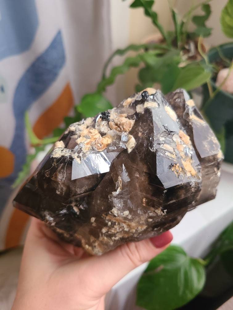 Incredible Elestial Smokey Quartz XL Super 7 Crystal w Black Tourmaline | Halloween Xmas Gift, Collector Rare Raw Stone Specimen from Brazil