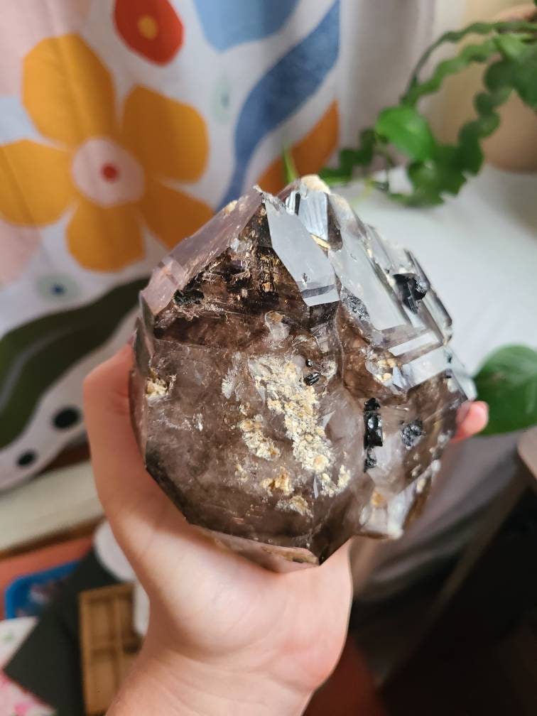 Incredible Elestial Smokey Quartz XL Super 7 Crystal w Black Tourmaline | Halloween Xmas Gift, Collector Rare Raw Stone Specimen from Brazil