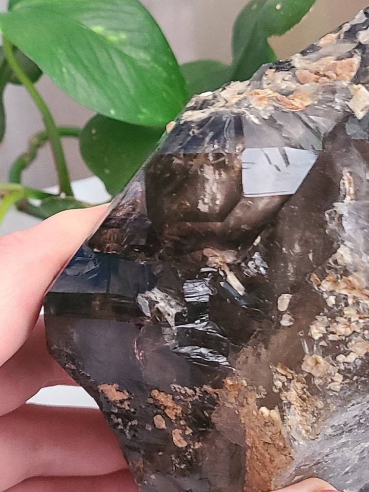 Incredible Elestial Smokey Quartz XL Super 7 Crystal w Black Tourmaline | Halloween Xmas Gift, Collector Rare Raw Stone Specimen from Brazil