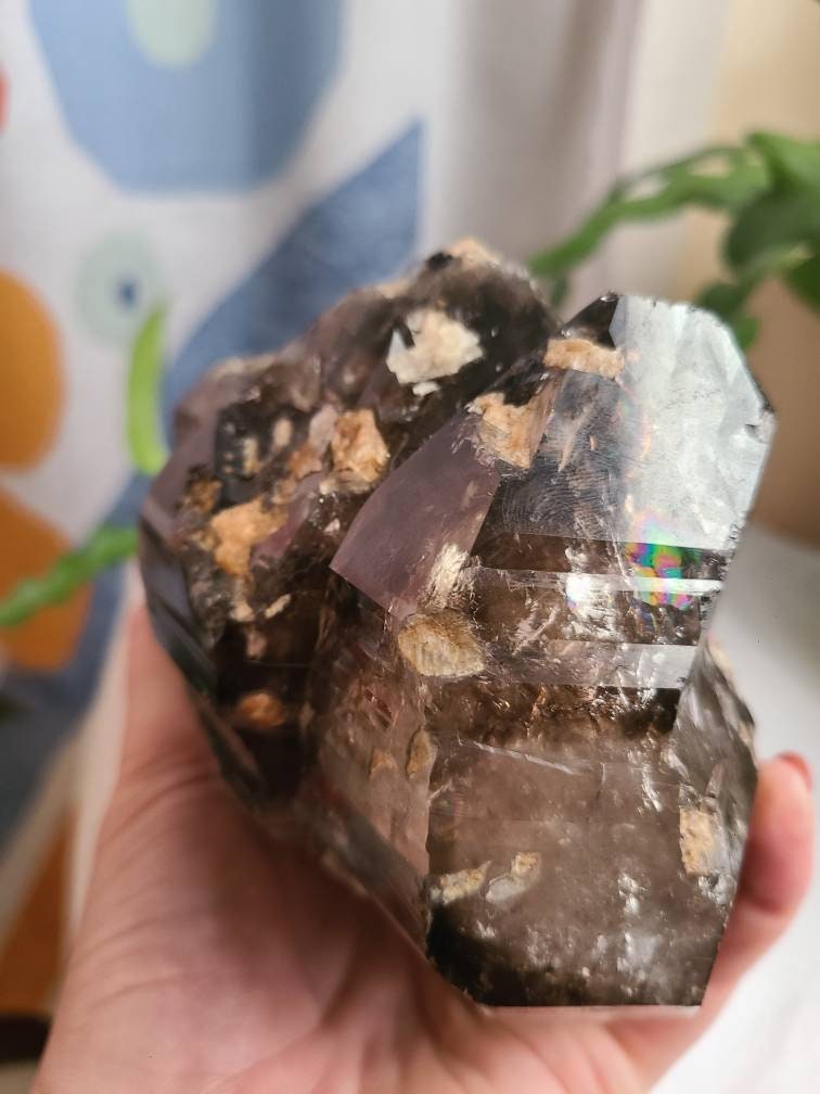 Incredible Elestial Smokey Quartz XL Super 7 Crystal w Black Tourmaline | Halloween Xmas Gift, Collector Rare Raw Stone Specimen from Brazil