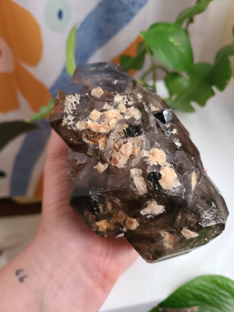 Incredible Elestial Smokey Quartz XL Super 7 Crystal w Black Tourmaline | Halloween Xmas Gift, Collector Rare Raw Stone Specimen from Brazil