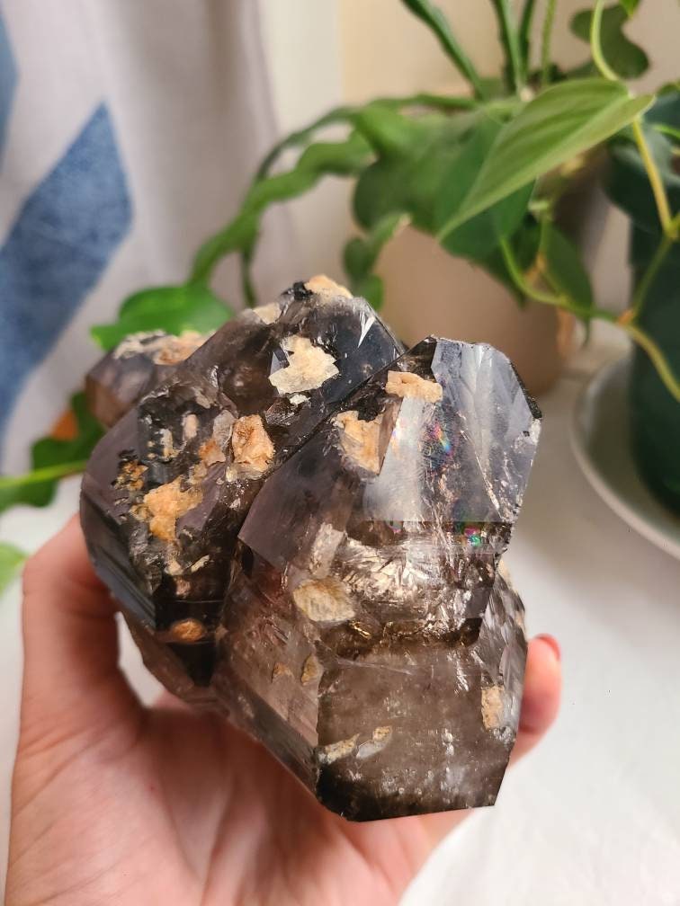Incredible Elestial Smokey Quartz XL Super 7 Crystal w Black Tourmaline | Halloween Xmas Gift, Collector Rare Raw Stone Specimen from Brazil