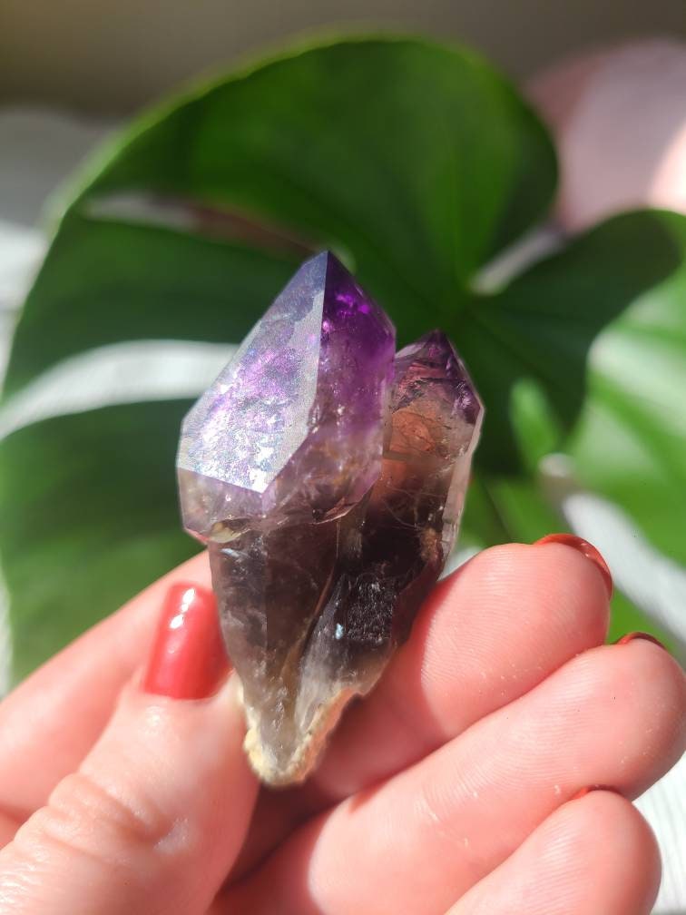 Twisted Scepter Montana Amethyst, Twinned Smoky Stemmed Sceptre with Deep Bright Jelly Purple Amethyst Terminations