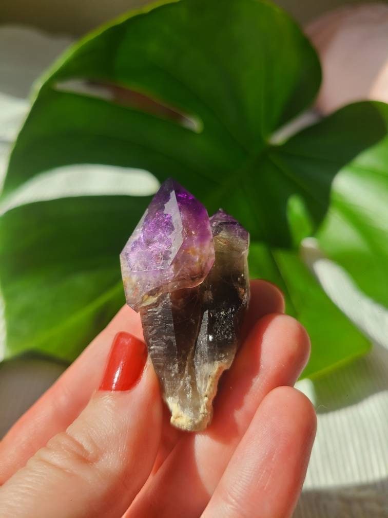 Twisted Scepter Montana Amethyst, Twinned Smoky Stemmed Sceptre with Deep Bright Jelly Purple Amethyst Terminations