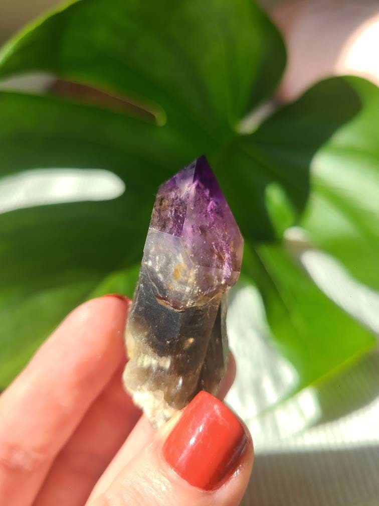 Twisted Scepter Montana Amethyst, Twinned Smoky Stemmed Sceptre with Deep Bright Jelly Purple Amethyst Terminations