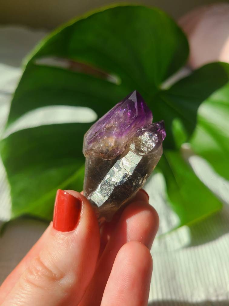 Twisted Scepter Montana Amethyst, Twinned Smoky Stemmed Sceptre with Deep Bright Jelly Purple Amethyst Terminations