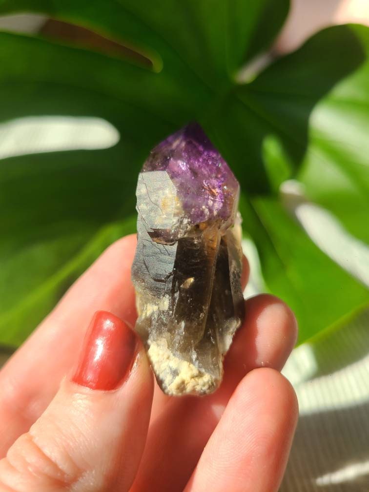 Twisted Scepter Montana Amethyst, Twinned Smoky Stemmed Sceptre with Deep Bright Jelly Purple Amethyst Terminations