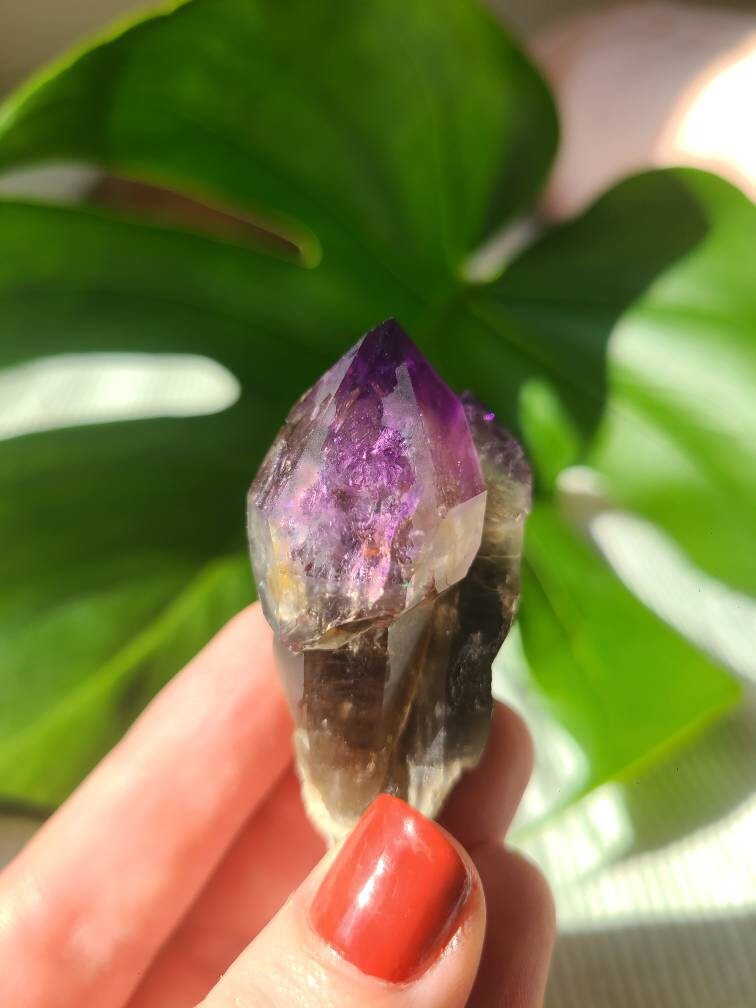 Twisted Scepter Montana Amethyst, Twinned Smoky Stemmed Sceptre with Deep Bright Jelly Purple Amethyst Terminations