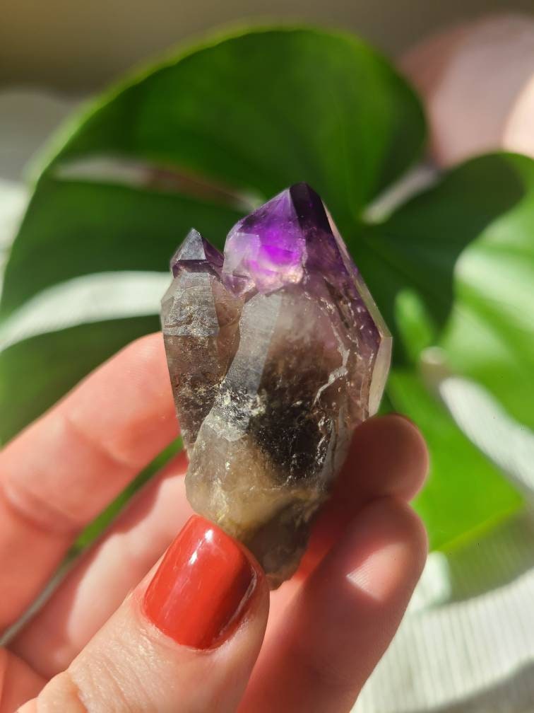 Twisted Scepter Montana Amethyst, Twinned Smoky Stemmed Sceptre with Deep Bright Jelly Purple Amethyst Terminations