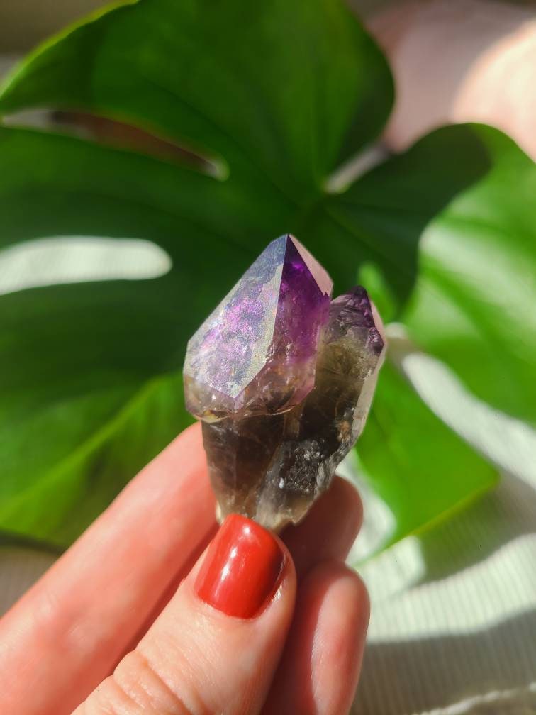 Twisted Scepter Montana Amethyst, Twinned Smoky Stemmed Sceptre with Deep Bright Jelly Purple Amethyst Terminations