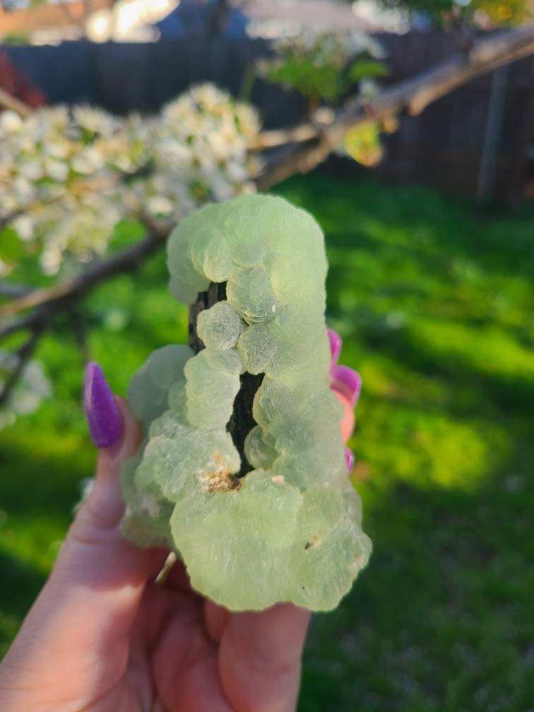 Prehnite over Epidote Raw Rare Epimorph Cabinet Crystal, Museum Grade