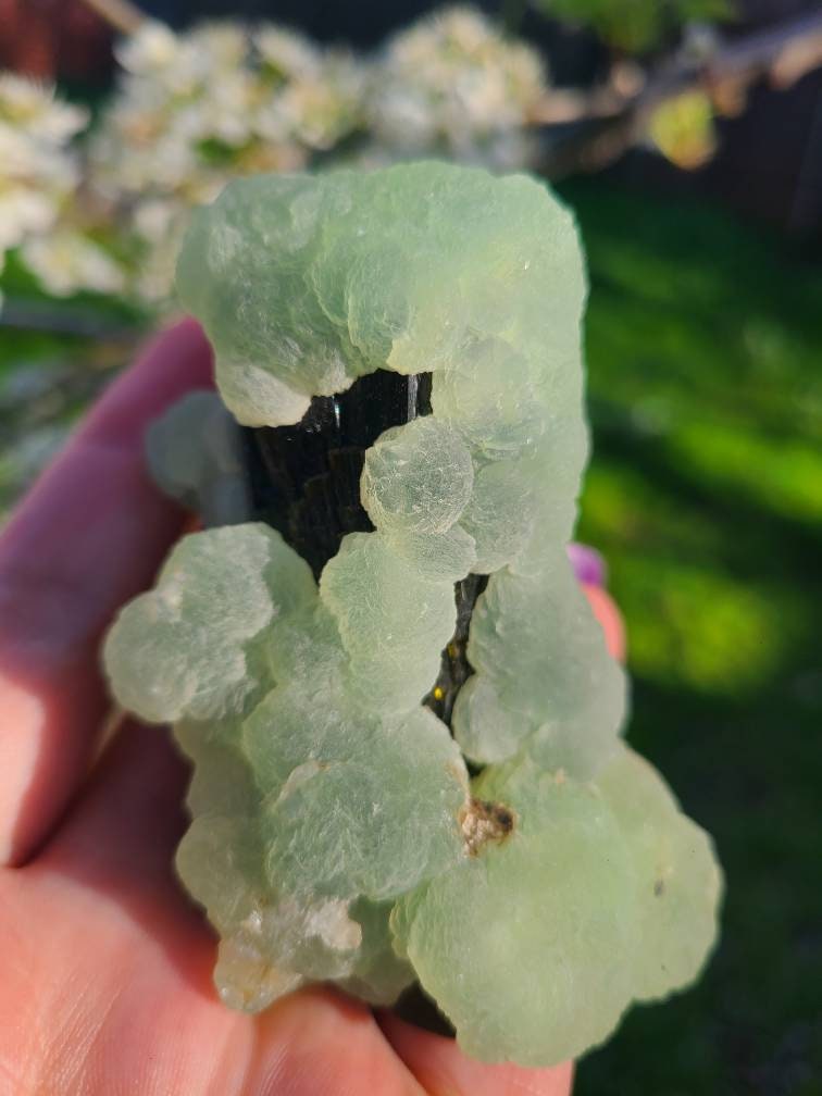 Prehnite over Epidote Raw Rare Epimorph Cabinet Crystal, Museum Grade