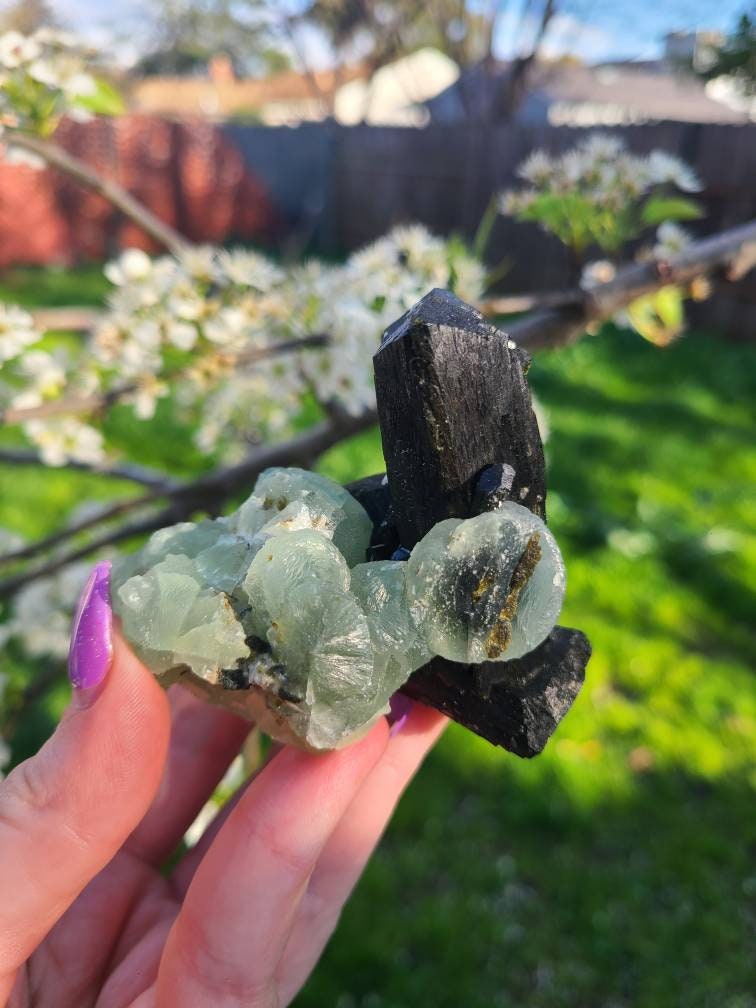 Prehnite and Epidote Raw Matrix Cabinet Display Crystal