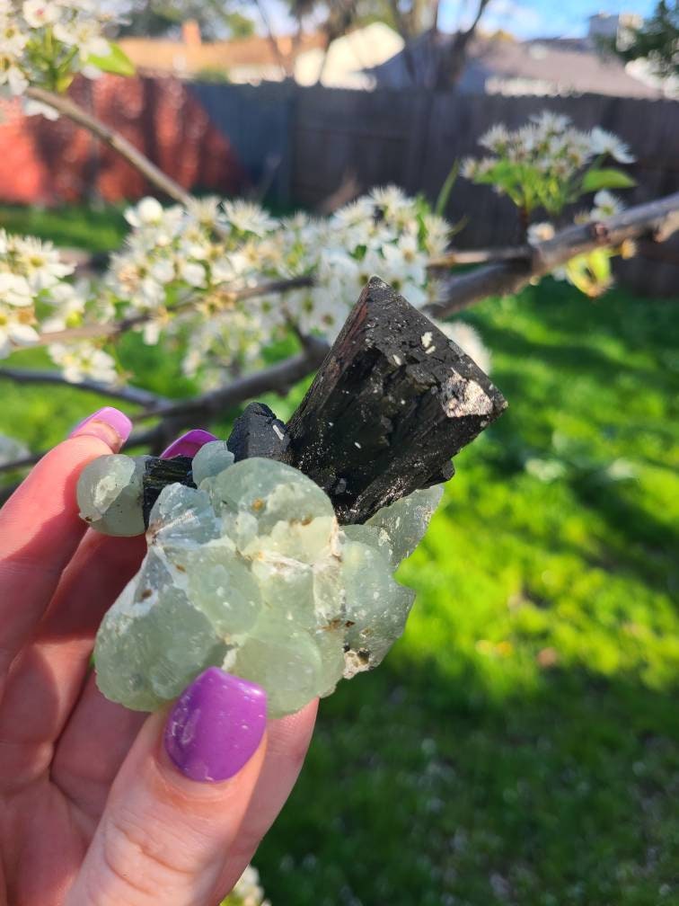 Prehnite and Epidote Raw Matrix Cabinet Display Crystal
