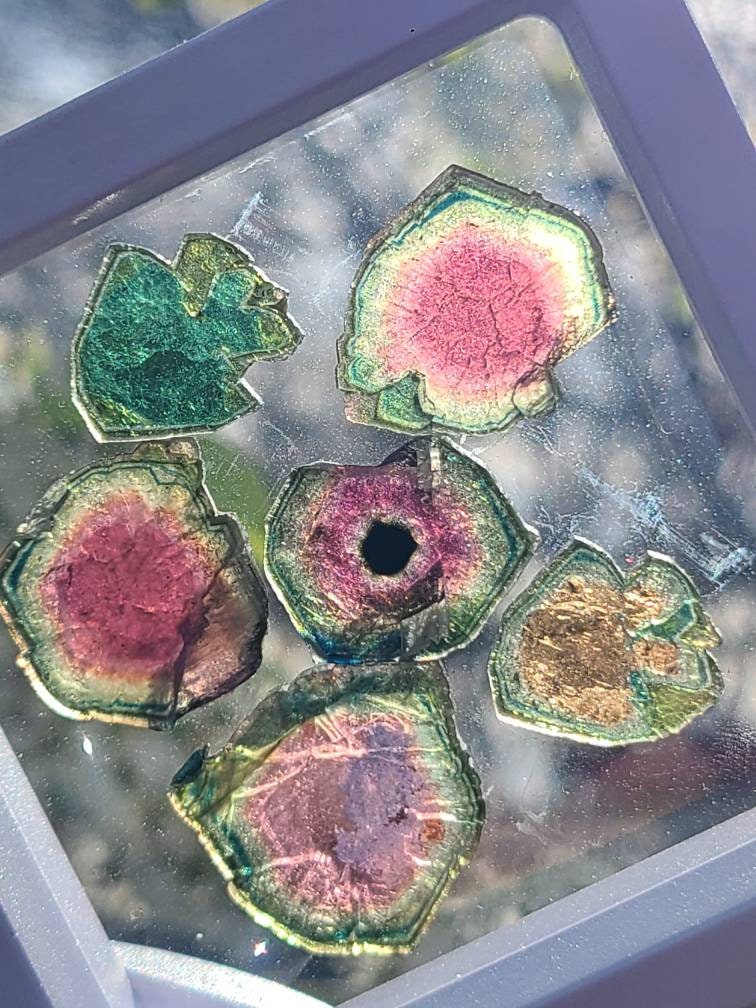 43cts Watermelon Tourmaline Slice Set from Madagascar | Polished Natural Liddicoatite Gem | Multicolor, Bicolor, and Melon Gemstone lot