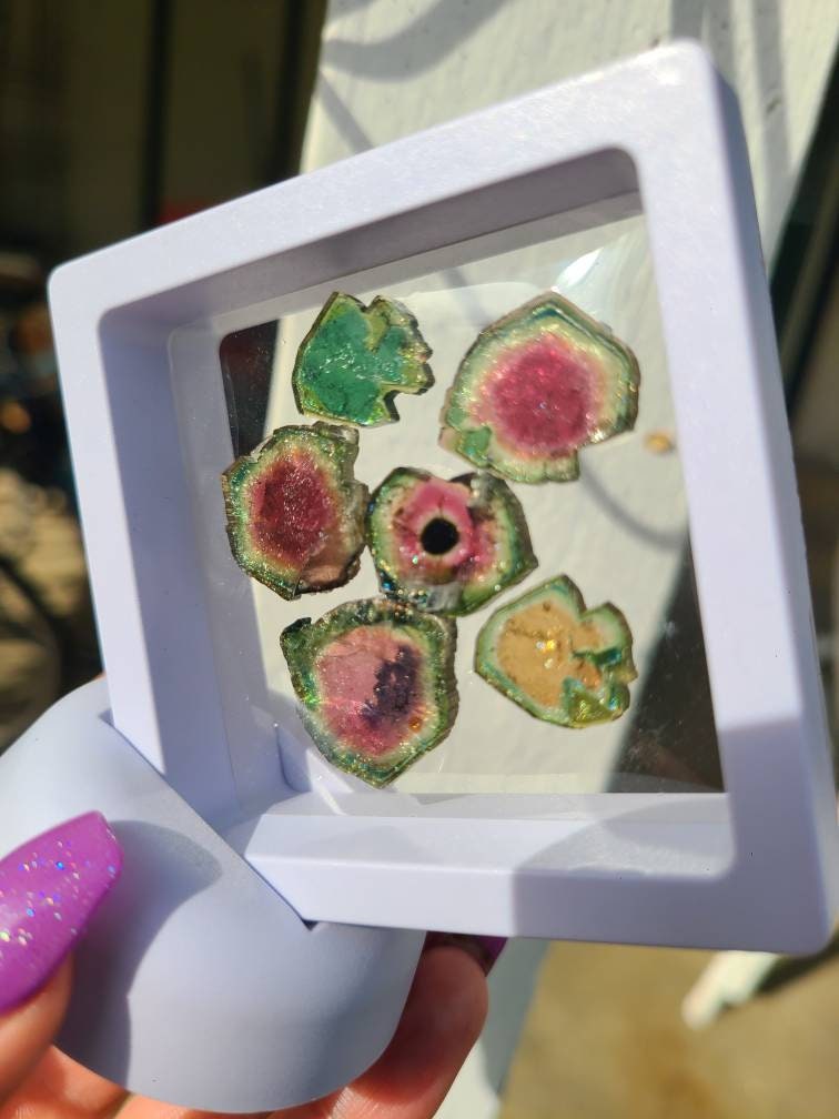 43cts Watermelon Tourmaline Slice Set from Madagascar | Polished Natural Liddicoatite Gem | Multicolor, Bicolor, and Melon Gemstone lot