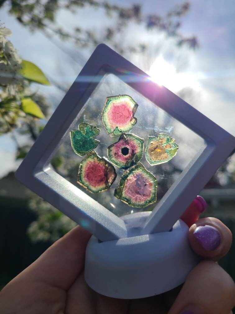 43cts Watermelon Tourmaline Slice Set from Madagascar | Polished Natural Liddicoatite Gem | Multicolor, Bicolor, and Melon Gemstone lot