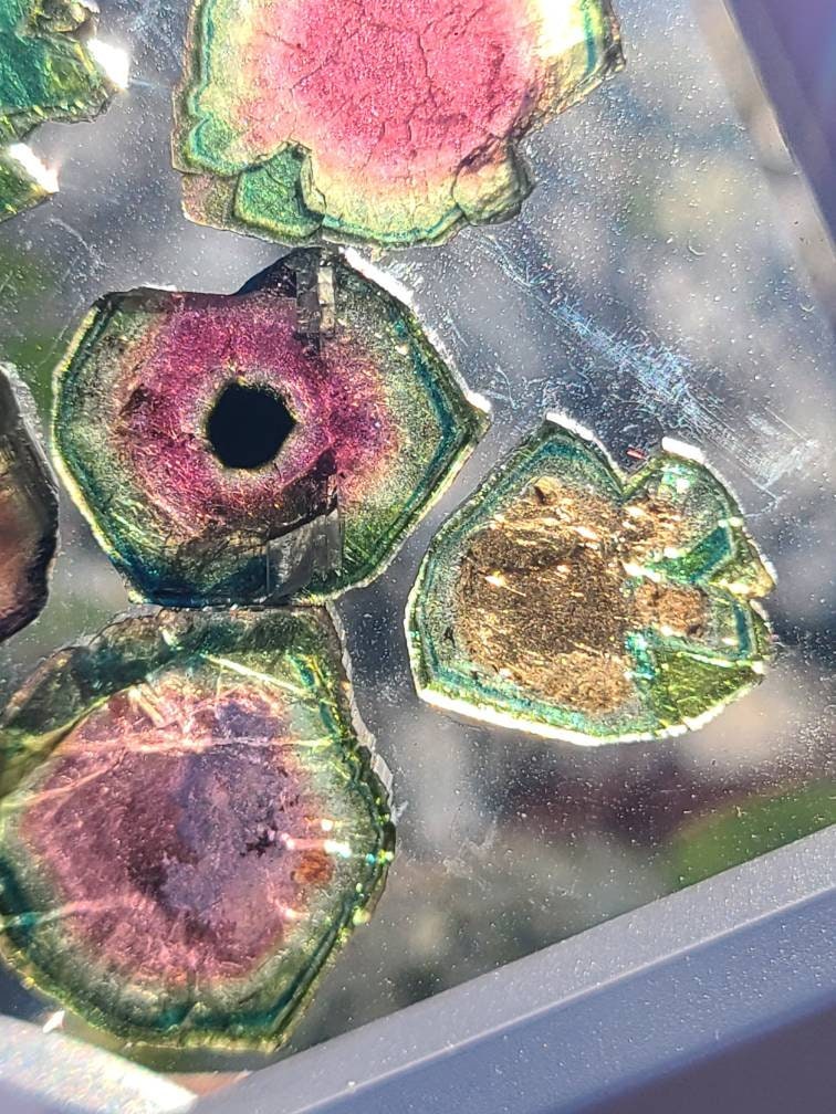 43cts Watermelon Tourmaline Slice Set from Madagascar | Polished Natural Liddicoatite Gem | Multicolor, Bicolor, and Melon Gemstone lot