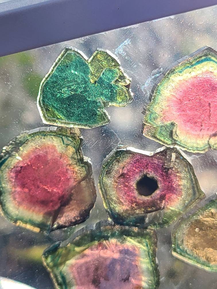43cts Watermelon Tourmaline Slice Set from Madagascar | Polished Natural Liddicoatite Gem | Multicolor, Bicolor, and Melon Gemstone lot