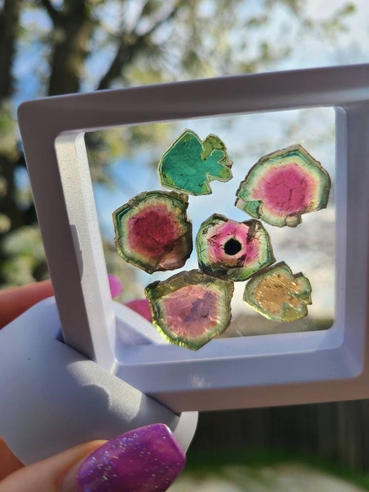 43cts Watermelon Tourmaline Slice Set from Madagascar | Polished Natural Liddicoatite Gem | Multicolor, Bicolor, and Melon Gemstone lot