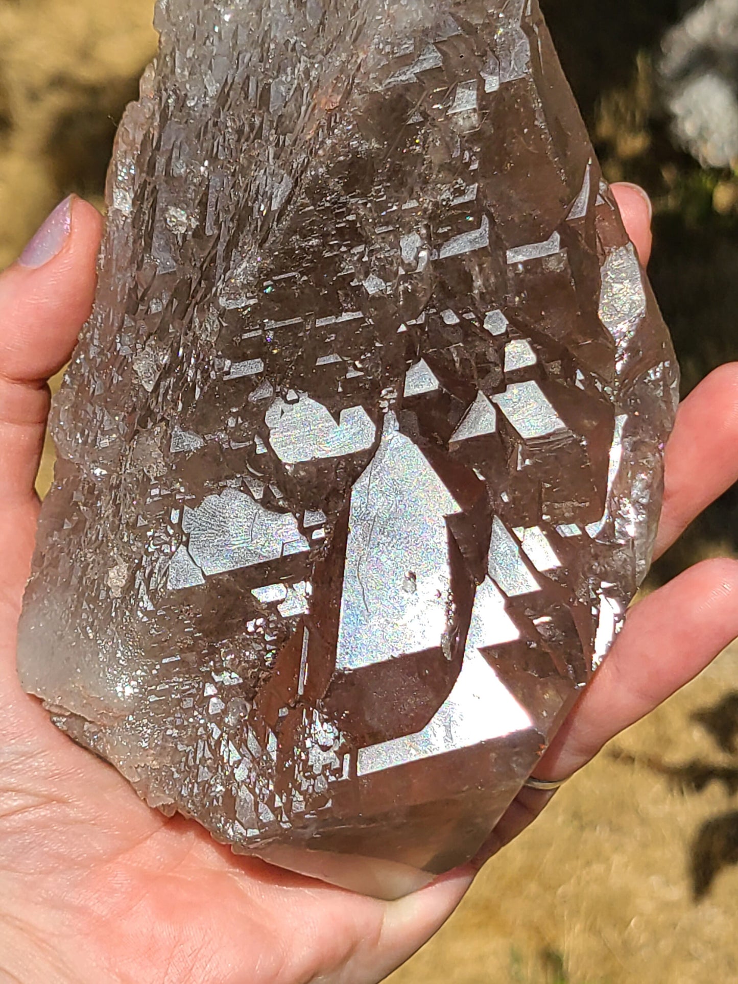 AAA Elestial Smoky Champagne 'Jacare' Quartz Crystal Castle | XL Natural Point, Many Triangle Recordkeepers, Rare OOAK Collector Piece