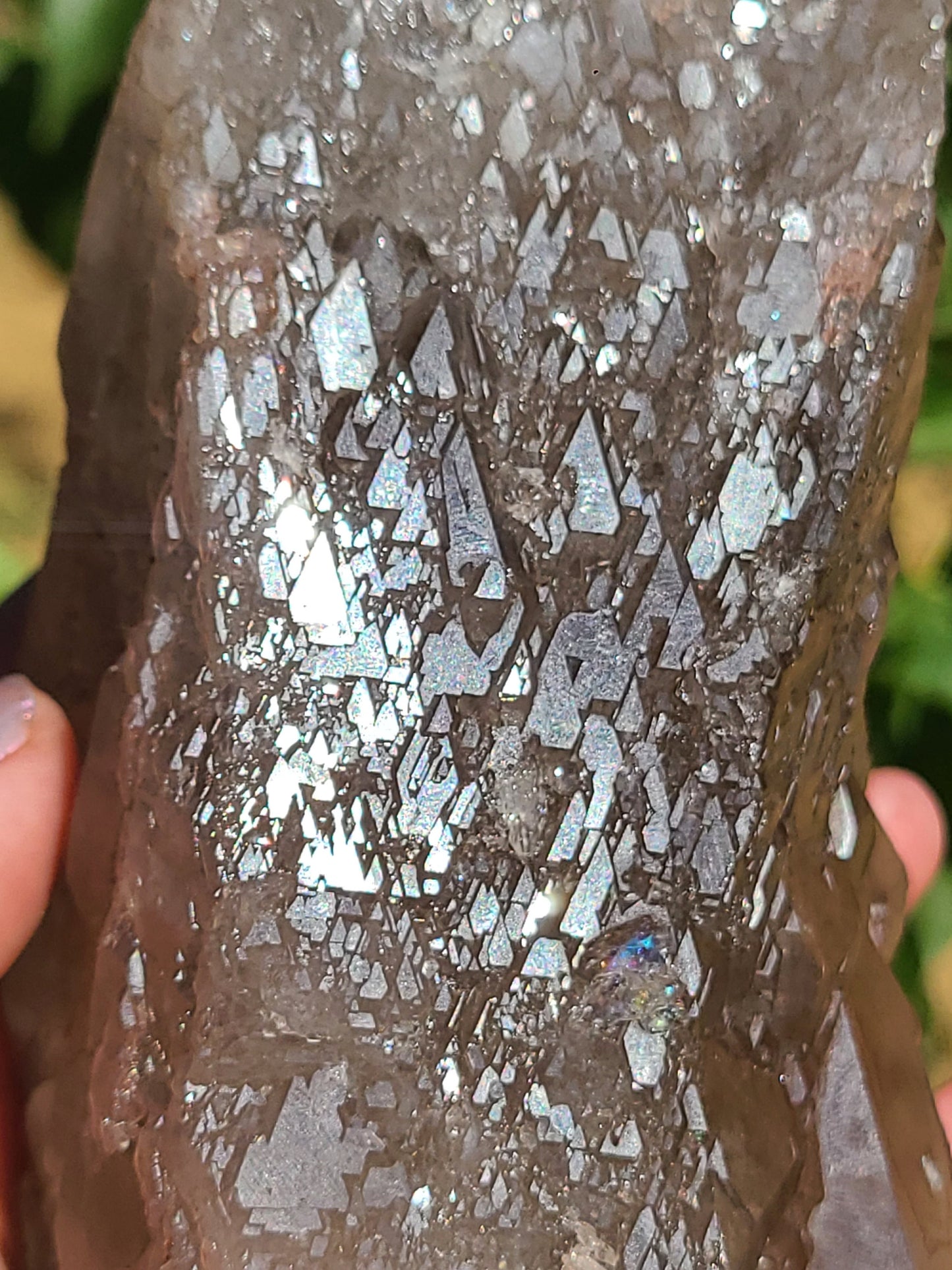 AAA Elestial Smoky Champagne 'Jacare' Quartz Crystal Castle | XL Natural Point, Many Triangle Recordkeepers, Rare OOAK Collector Piece