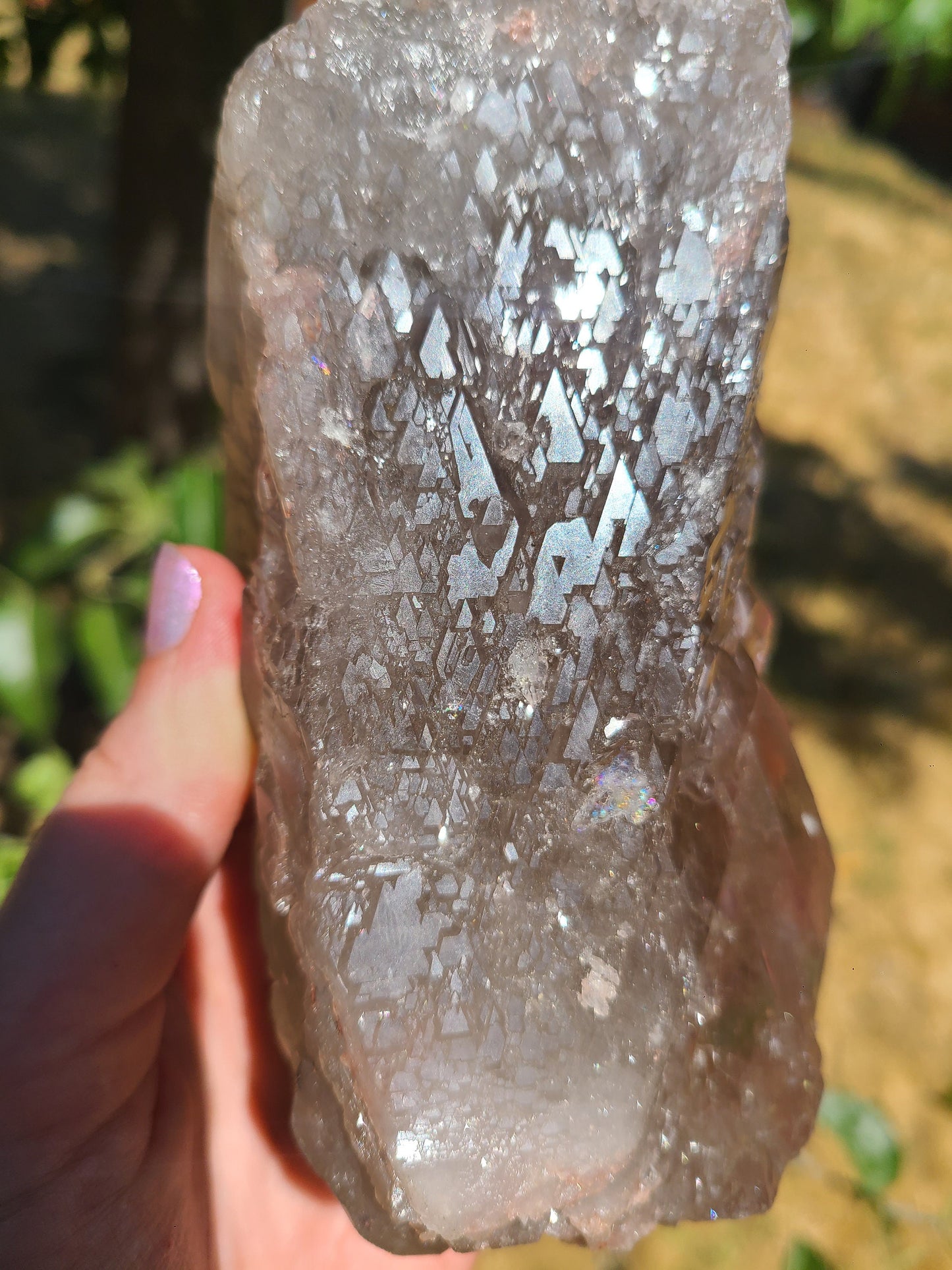 AAA Elestial Smoky Champagne 'Jacare' Quartz Crystal Castle | XL Natural Point, Many Triangle Recordkeepers, Rare OOAK Collector Piece