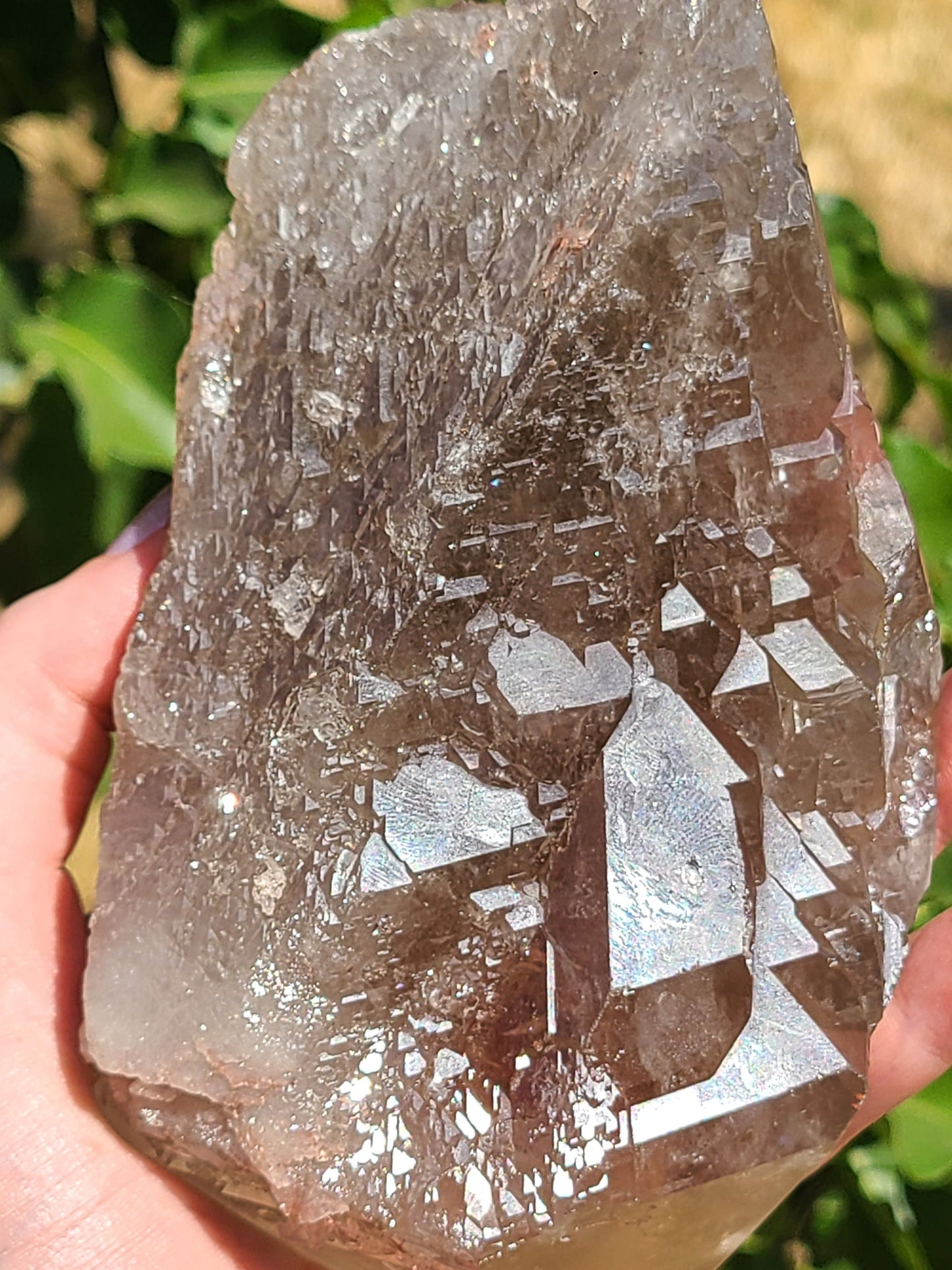 AAA Elestial Smoky Champagne 'Jacare' Quartz Crystal Castle | XL Natural Point, Many Triangle Recordkeepers, Rare OOAK Collector Piece