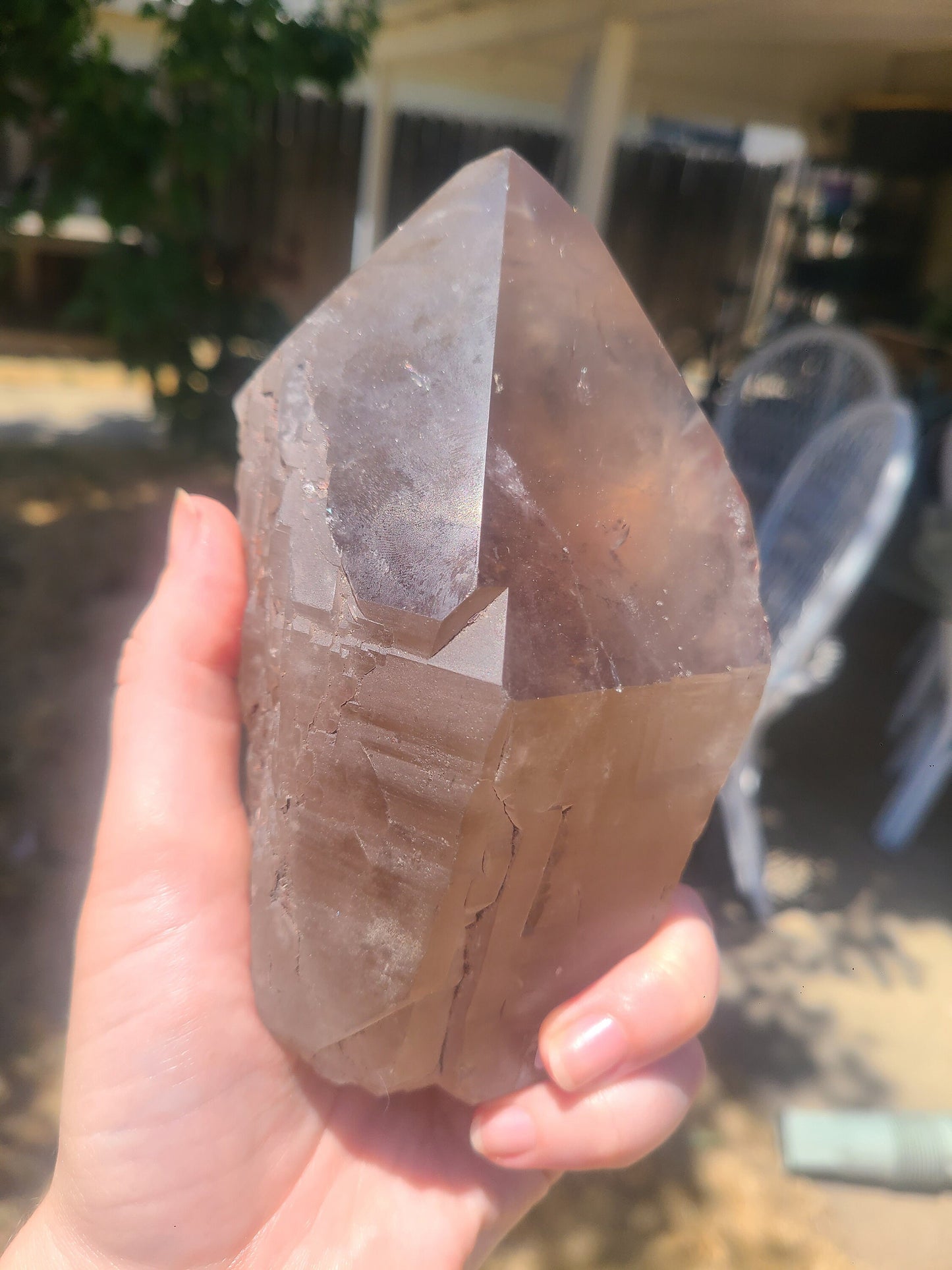 AAA Elestial Smoky Champagne 'Jacare' Quartz Crystal Castle | XL Natural Point, Many Triangle Recordkeepers, Rare OOAK Collector Piece