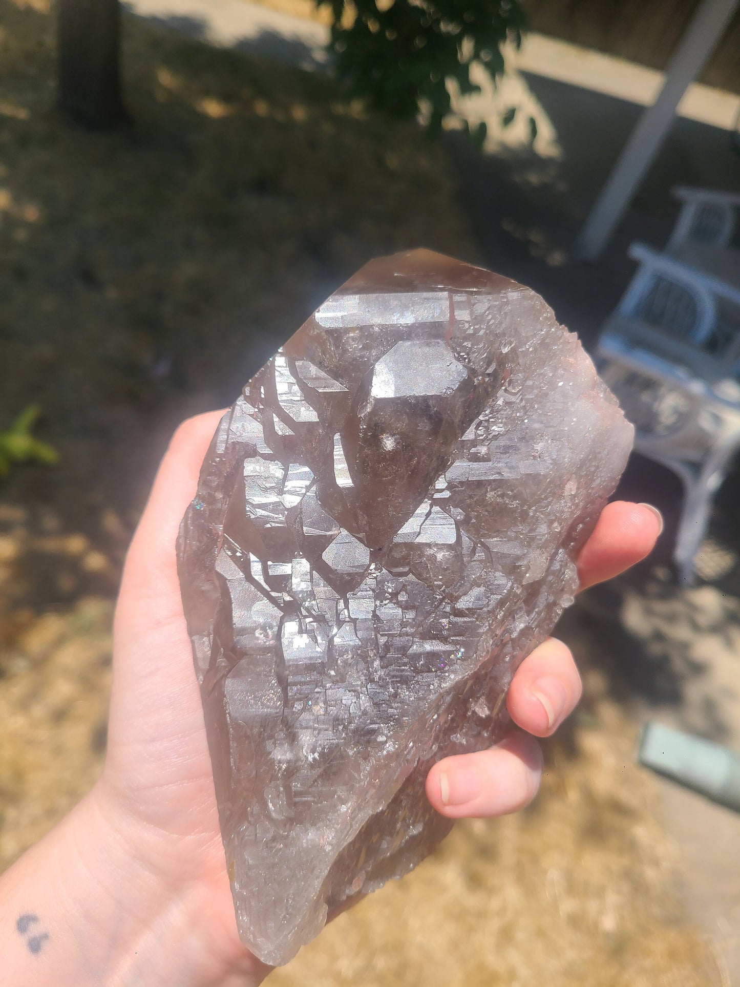 AAA Elestial Smoky Champagne 'Jacare' Quartz Crystal Castle | XL Natural Point, Many Triangle Recordkeepers, Rare OOAK Collector Piece