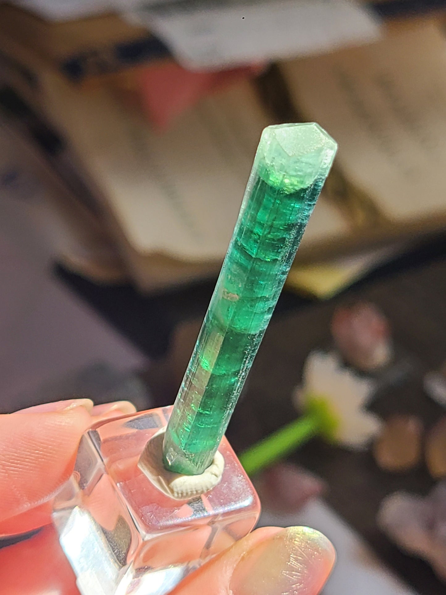 27ct Indicolite, Blue Tourmaline Crystal | Rare, Raw, High End Gemstone | Jewelry Making, Crystal Collection, Double Terminated Gem