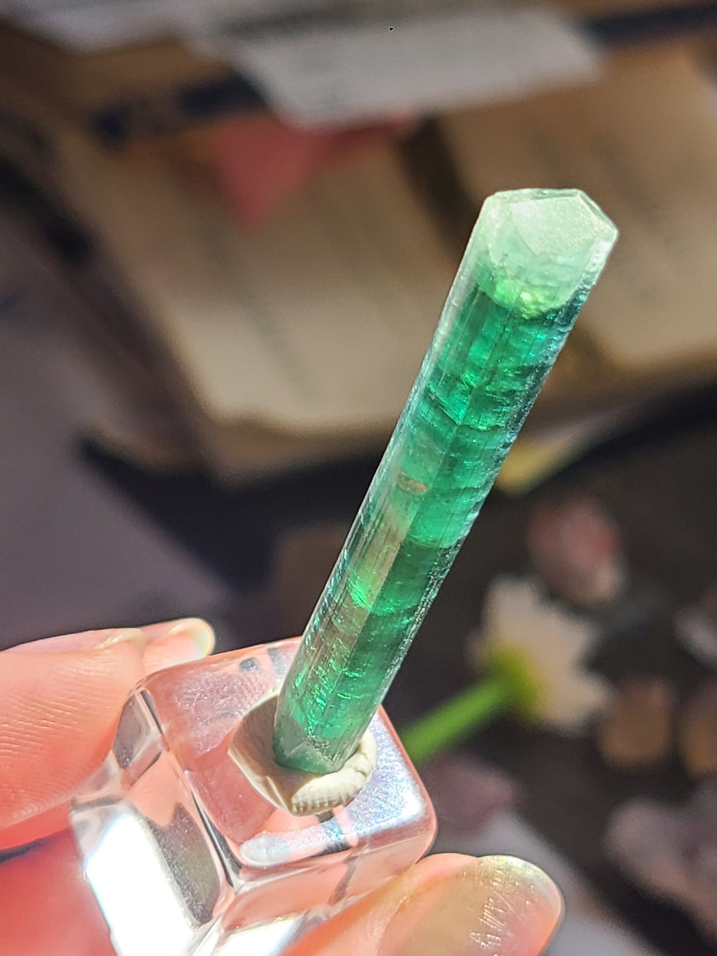 27ct Indicolite, Blue Tourmaline Crystal | Rare, Raw, High End Gemstone | Jewelry Making, Crystal Collection, Double Terminated Gem