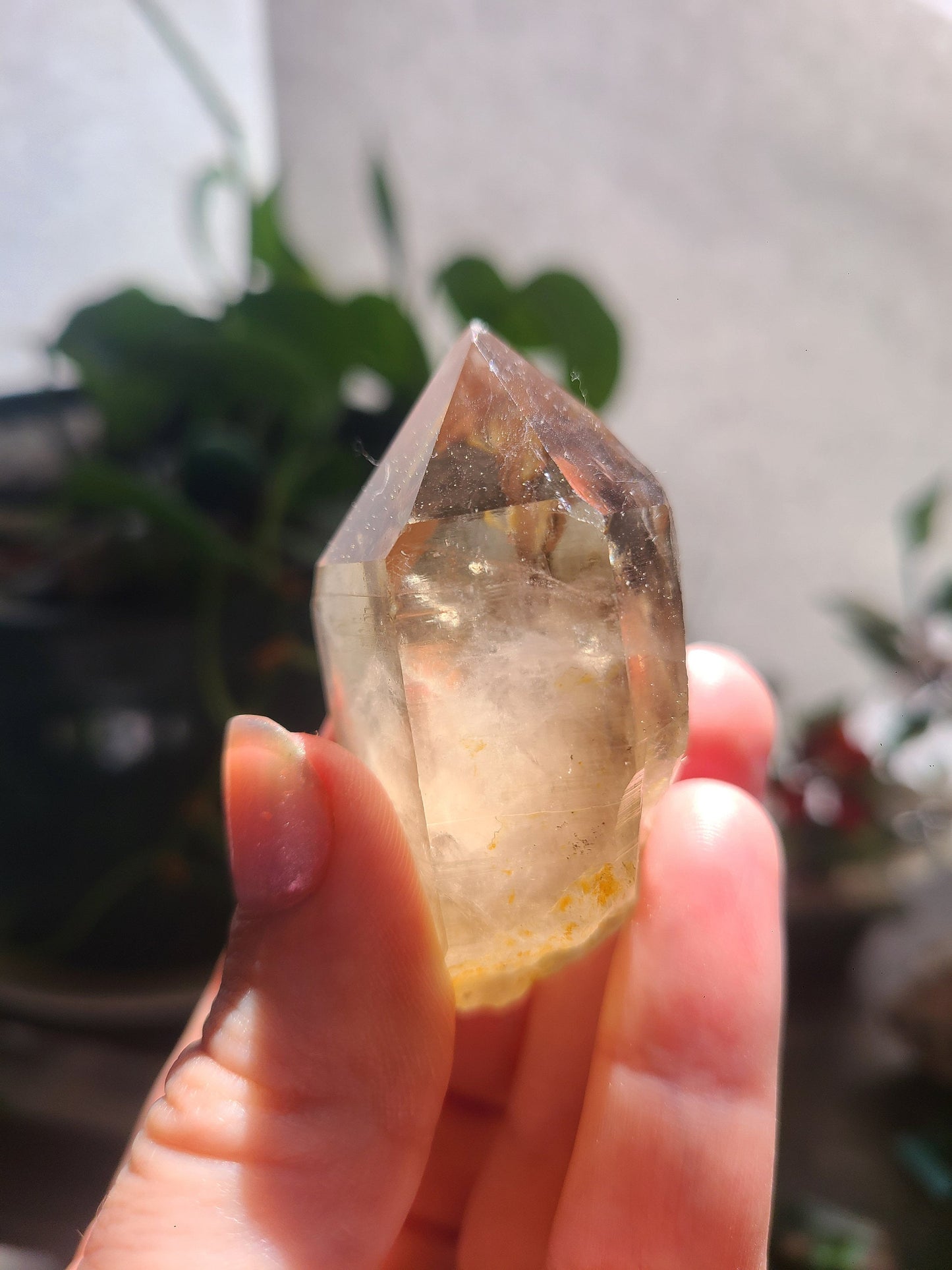 Raw Citrine, Hand Collected in California, Hallelujah Junction, Near Tahoe, Ethical Directly Sourced, High Grade, Local Quartz Gem