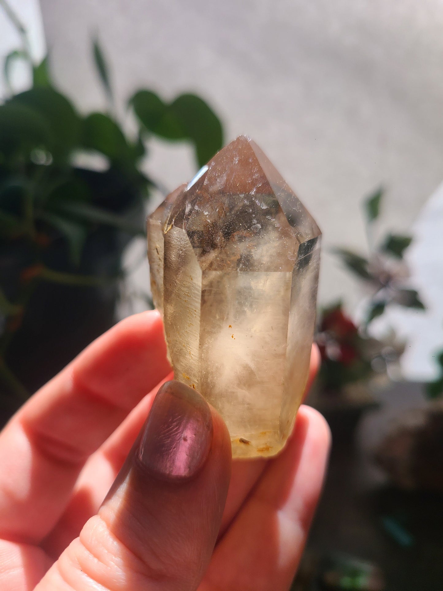 Raw Citrine, Hand Collected in California, Hallelujah Junction, Near Tahoe, Ethical Directly Sourced, High Grade, Local Quartz Gem