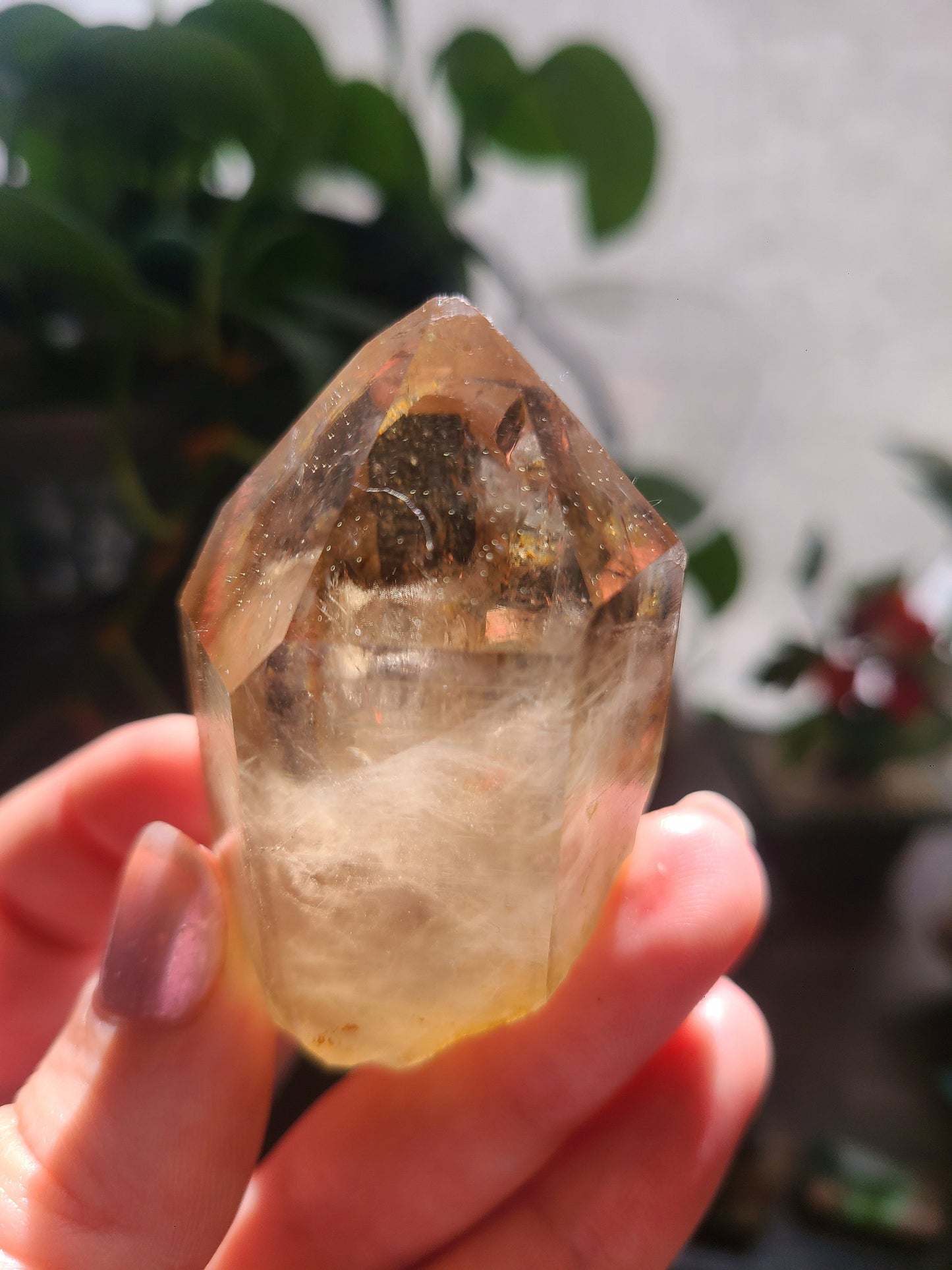 Raw Citrine, Hand Collected in California, Hallelujah Junction, Near Tahoe, Ethical Directly Sourced, High Grade, Local Quartz Gem