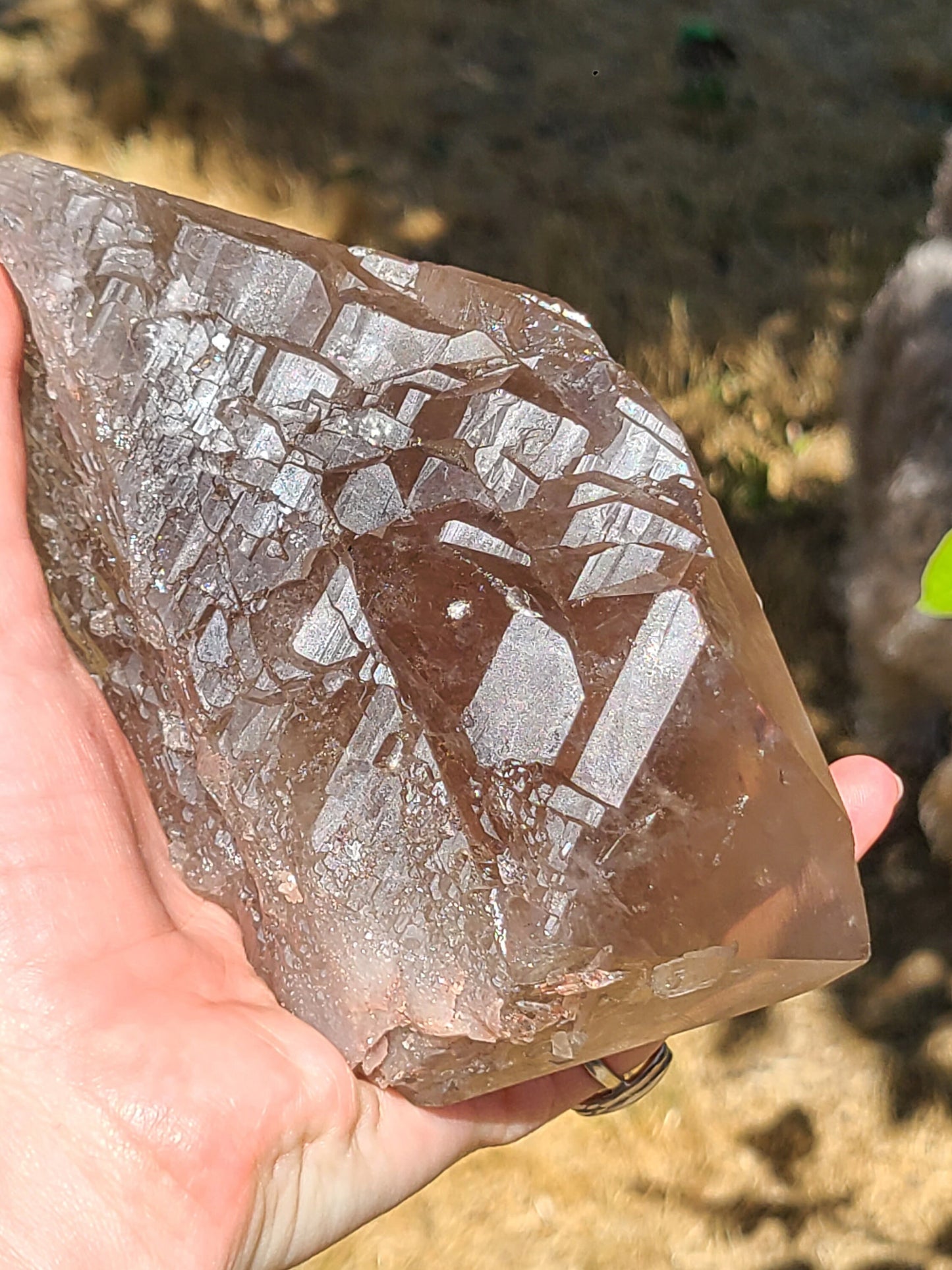 AAA Elestial Smoky Champagne 'Jacare' Quartz Crystal Castle | XL Natural Point, Many Triangle Recordkeepers, Rare OOAK Collector Piece