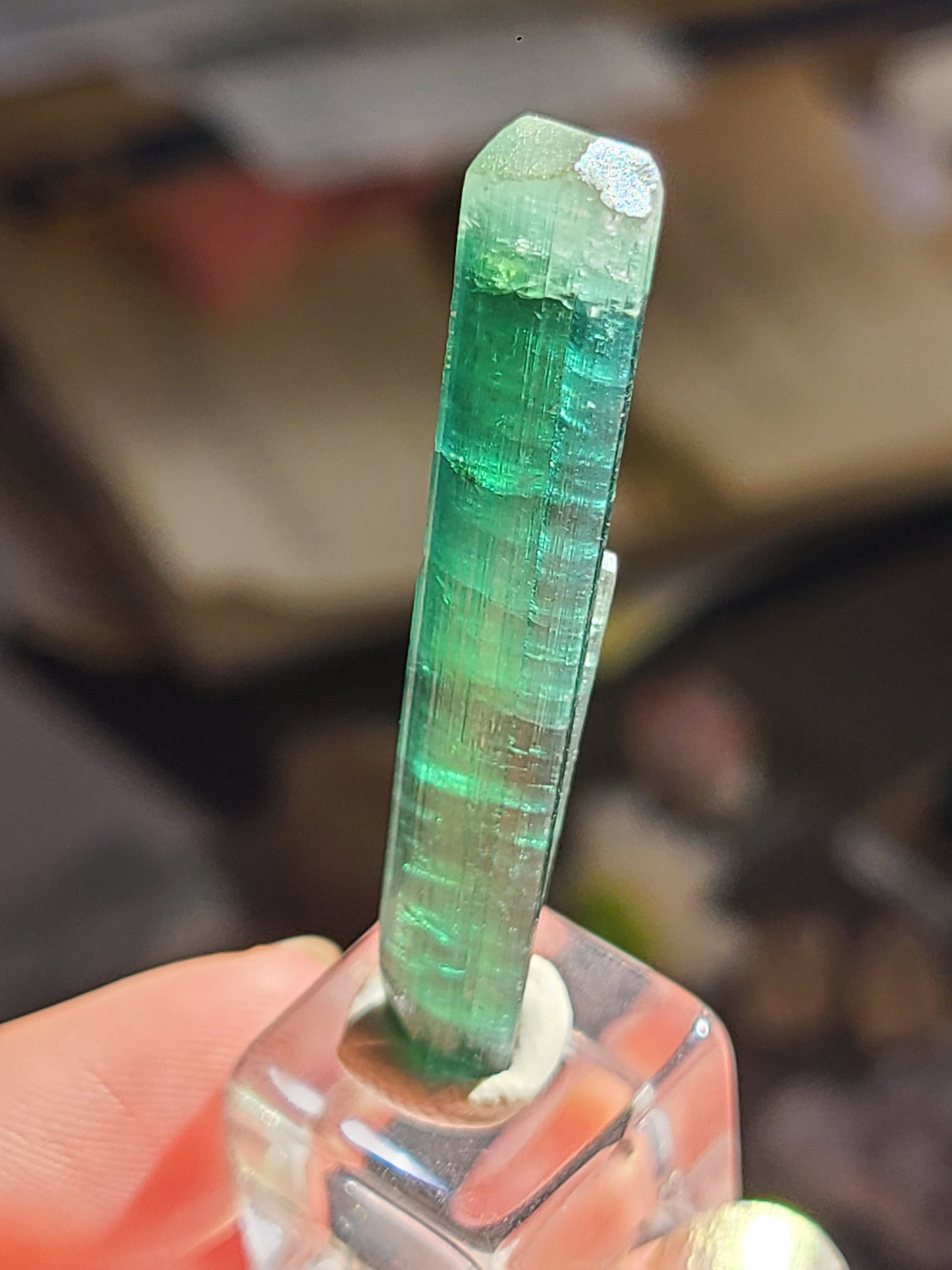 27ct Indicolite, Blue Tourmaline Crystal | Rare, Raw, High End Gemstone | Jewelry Making, Crystal Collection, Double Terminated Gem