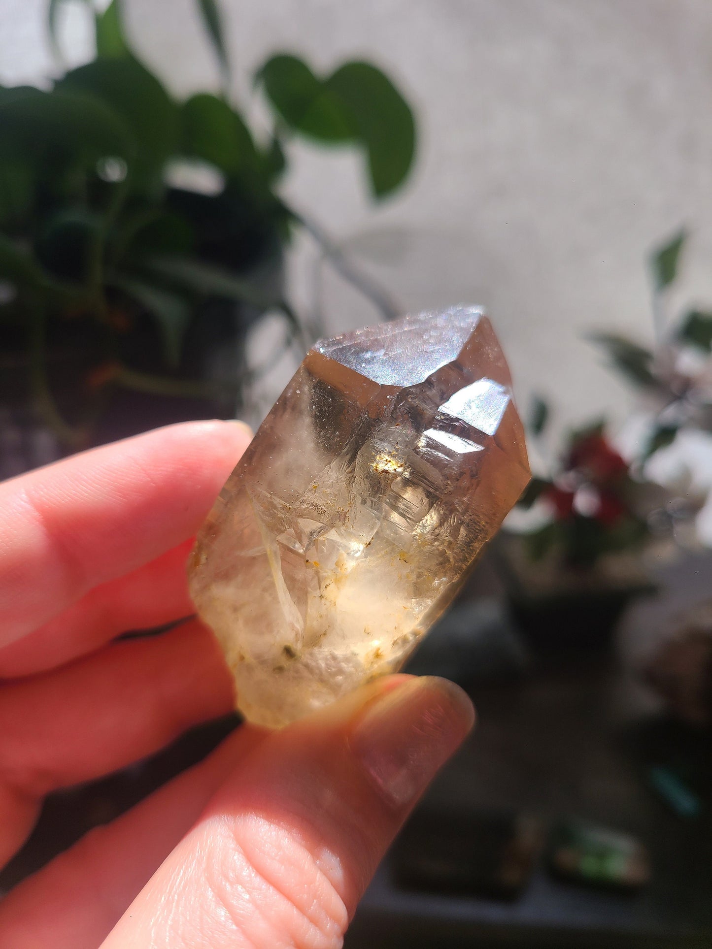 Raw Citrine, Hand Collected in California, Hallelujah Junction, Near Tahoe, Ethical Directly Sourced, High Grade, Local Quartz Gem