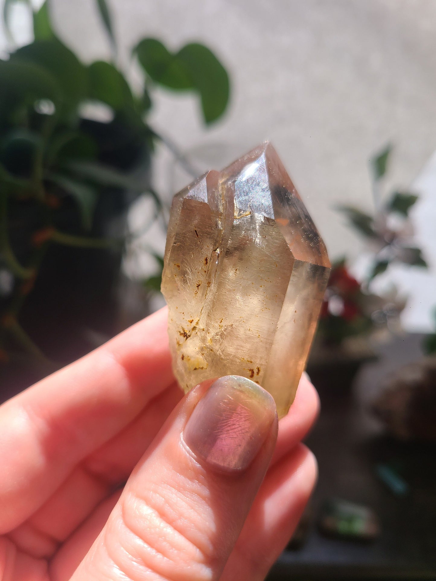 Raw Citrine, Hand Collected in California, Hallelujah Junction, Near Tahoe, Ethical Directly Sourced, High Grade, Local Quartz Gem