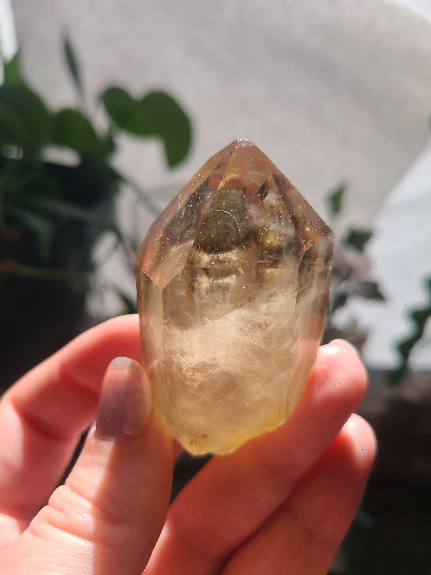 Raw Citrine, Hand Collected in California, Hallelujah Junction, Near Tahoe, Ethical Directly Sourced, High Grade, Local Quartz Gem