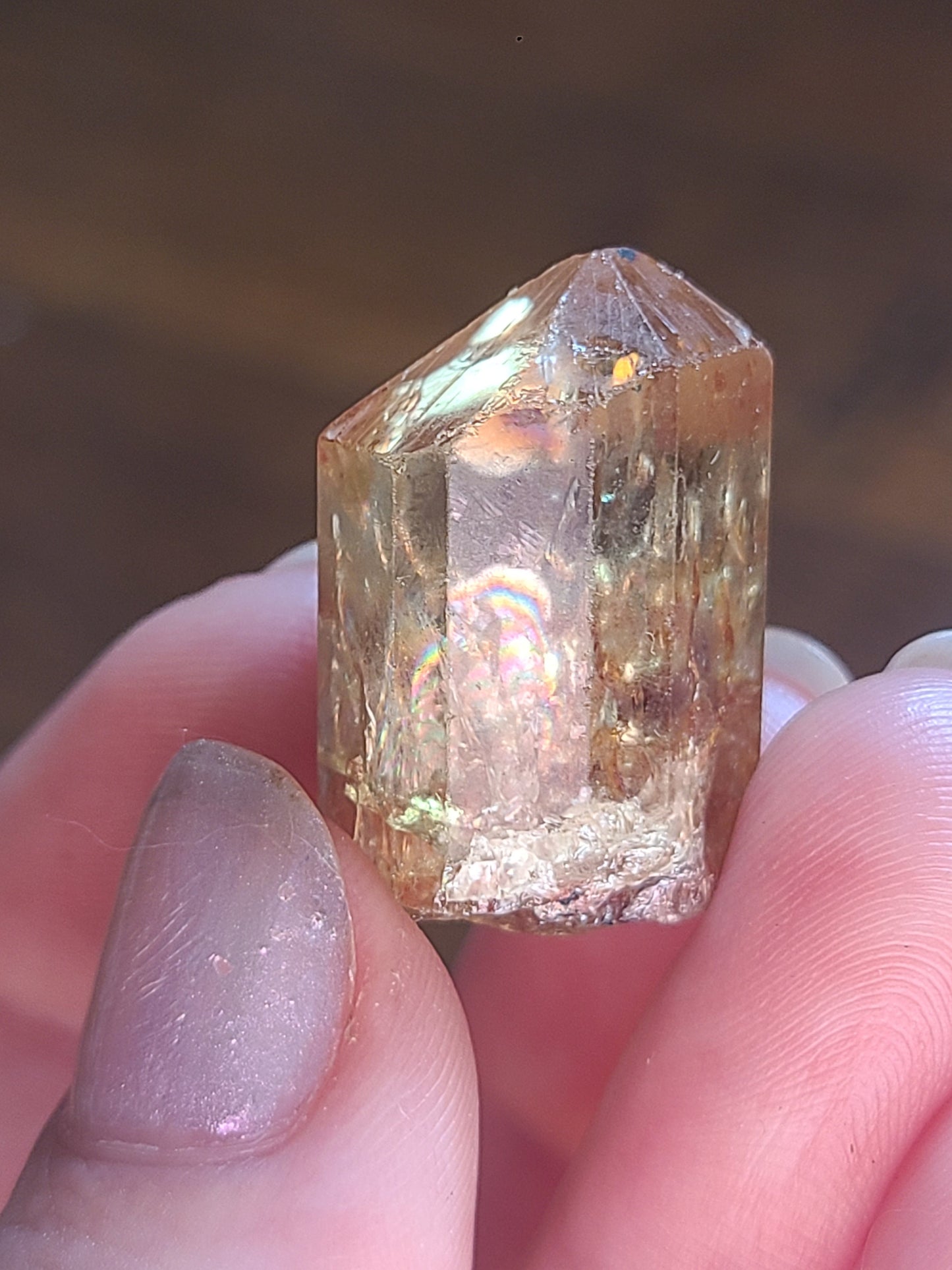 Golden Apatite from Durango, Mexico | Rare Raw High End Collector Gemstone | North American Fine Rough Mineral w Rainbows and Hematite