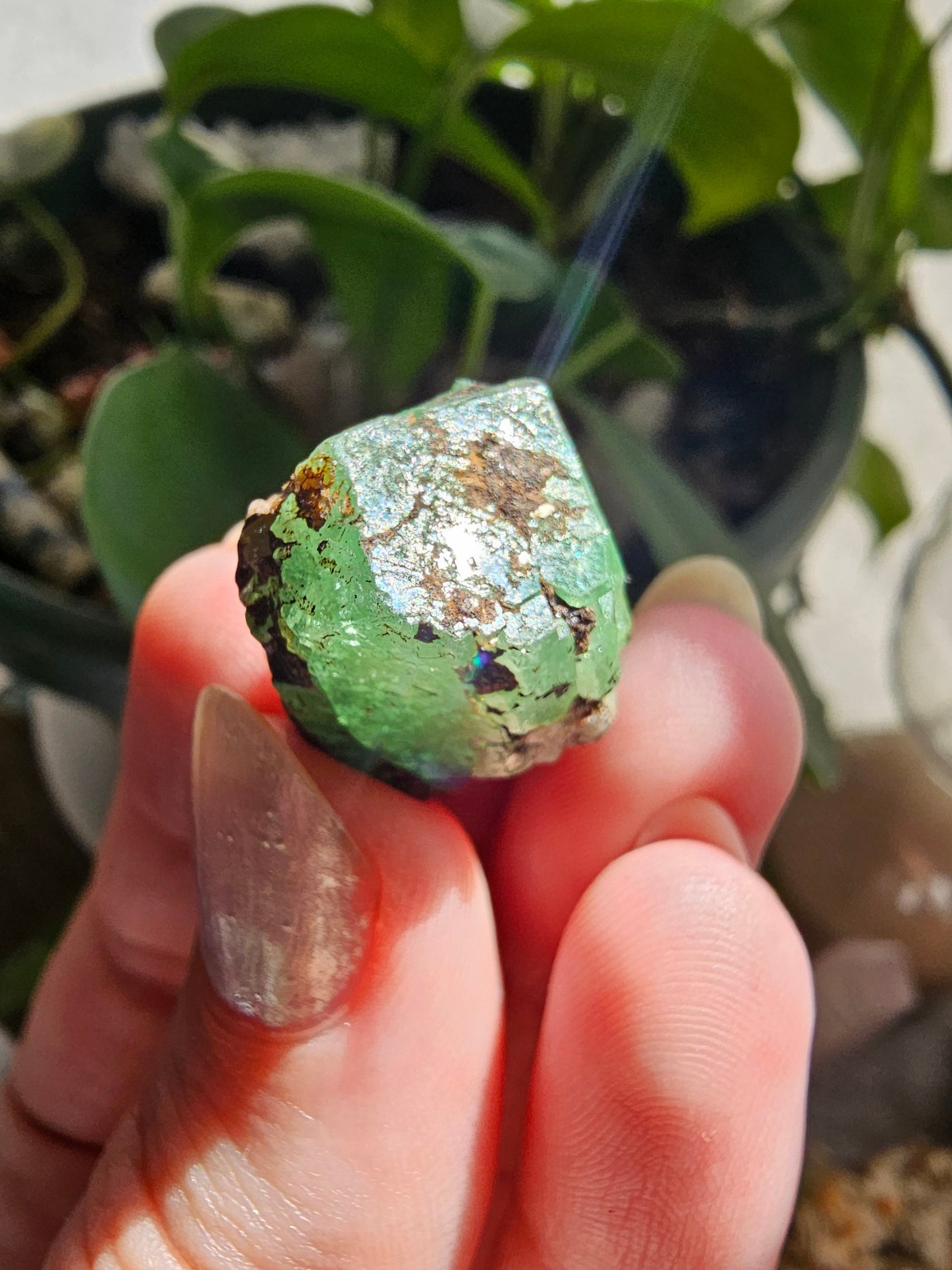 Large 45ct Tsavorite Garnet, 9g Green Grossular Rare Crystal, Merelani Hills Tanzania Origin, Terminated Raw Rough Natural Gem Specimen